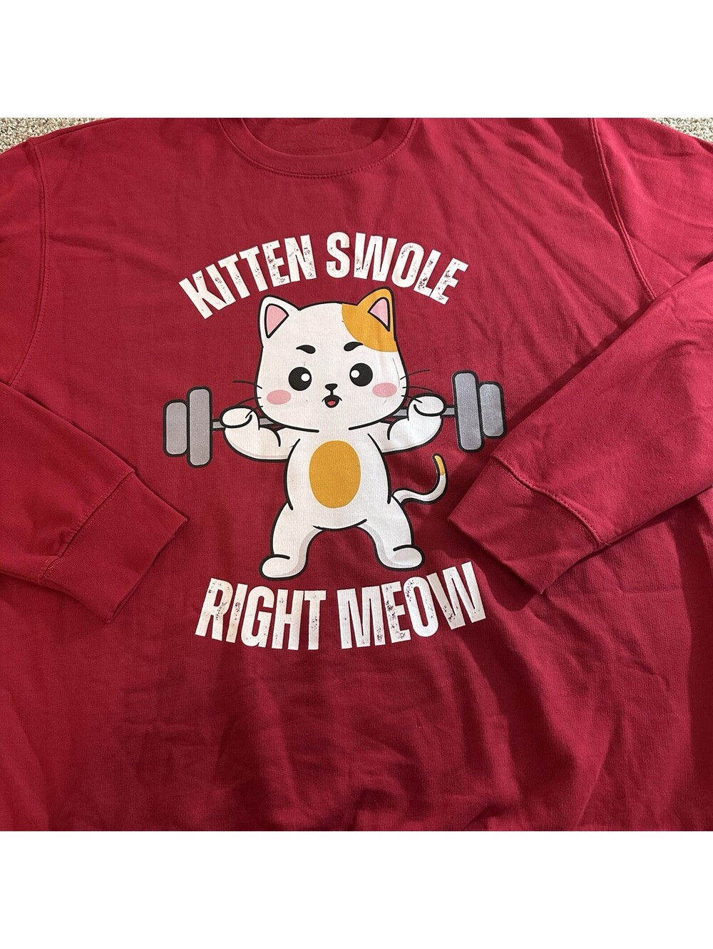 Workout Cats Funny kitten swole right meow gym cat sweatshirt